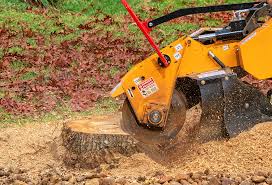 Best Tree Mulching Services  in Orchard Mesa, CO